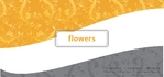 Flower Fragrance
