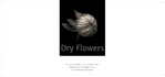 Dry Flowers